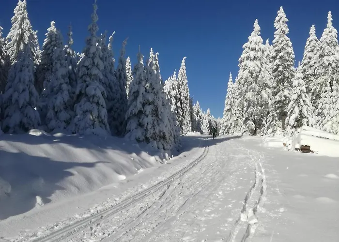 Сasa de vacaciones Horská Martin Loučná pod Klínovcem